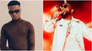 Wizkid & Davido's fans trade words as video shows 5 songs OBO repeatedly said “I no go”