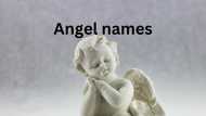 150+ charming angel names to give your little bundle of joy