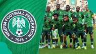 Former NFF President mentions what has cost Super Eagles World Cup ticket