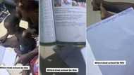 "Pikin wey never reach 5 years": Angry father displays tough assignment 4-year-old son was given in school