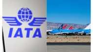 Nigeria tops countries with most trapped airline funds in the world