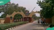 Nigerian university students groan over power rationing amid country's electricity challenges