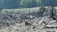 All eight crew killed in Ukrainian cargo plane crash in Greece