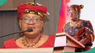 WTO announces Okonjo-Iweala as sole candidate for director-general role