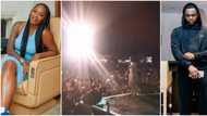 "Tag Kizz Daniel to see his senior": Nigerians shade singer as Tiwa Savage performs for fans in the rain