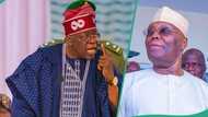 Tinubu fumes as Atiku accuses him of “stealing his presidency”