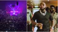 Empty seats plenty for O2: Nigerians share photos to argue that Davido didn't sell out London concert