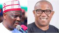 2023 polls: At Chatham House Kwankwaso mocks Obi, says Labour Party is like “Andrews Liver Salt”