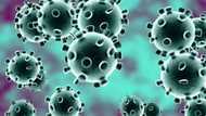 Coronavirus: An fasa yin shagalin bikin maulidi a jihar Sokoto