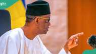 Troops kill over 300 top bandit leaders as Ribadu declares: "You must lay down your arms"