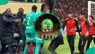 AFCON 2025: CAF sanctions Morocco and Senegal after final incidents