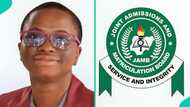 2026 UTME top scorer of Ogun school scores over 350 as 13 others get over 300, results trend