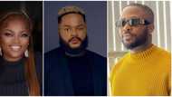 BBNaija: Is Whitemoney winning the Shine Ya Eyes season? 6 celebrities who have publicly declared support