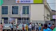 Access Bank to disburse N50bn loan to 7,000 MSMEs, gives condition to apply