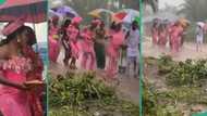 "Marriage must go on": Bride and her friends dance inside heavy rain during traditional marriage