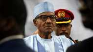 FG to Pay 5,000 monthly to 10 million households for 6 months as subsidy palliative