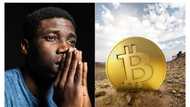 About 180,000 crypto investors lose 215.8 billion as Bitcoin trades at $23k