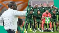 Gabon coach discloses tactics to frustrate Super Eagles in World Cup playoff