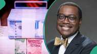 AfDB warns of naira depreciation in 2025, predicts steep trends for other African currencies