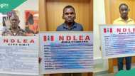 NDLEA arrests wanted suspects, recovers Illicit drugs from microwave, lipsticks