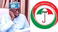 Ina Tinubu Ya Ga Kafasitin Da Zai Mulki Nigeria, Yaje Ya Huta Kawai Inji PDP