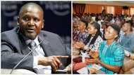 Dangote begins 300,000 massive employment, opens job application portal for graduates