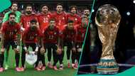 Egypt sends strong message to American police after harassment of players and coach at team hotel
