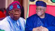 Yuletide: Tinubu told to slash petrol price to N300 per litre, reason emerges