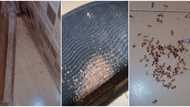 "Come see": Nigerian student posts the debris she found on her doormat after having issue with a hostel mate