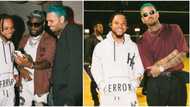 Chris Brown invites Davido & Pocolee to baby mama’s private birthday party, video trends: "Love the closeness"