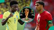 Brazil vs Morocco: Mysterious cat predicts 2026 FIFA World Cup match
