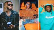 Wizkid, Asake, 3 other top Nigerian stars that had their songs duplicated by Tanzanian singer Diamond Platnumz