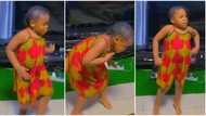 Beautiful little girl in colourful gown dances powerfully to Buga, causes excitement with pretty moves in video