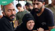 War: Hamas fighters surrendered to Israeli forces? Fact emerges