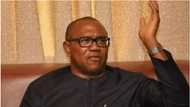 If I am elected president, my solution to security challenges will be decisive and immediate, Peter Obi says