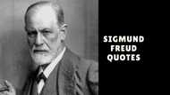 30+ cool Sigmund Freud quotes on religion and technological innovation