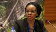 Nigeria's Zainab Usman gets global appointment from international organisation