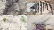 Boko Haram: Hotunan 'yan ta'adda 20 da dakarun Najeriya suka halaka