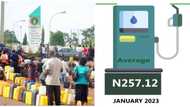 Petrol price in Nigeria jumps by 54% as Southern states pay more than northern states