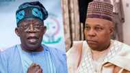 2023: Will Tinubu, APC Muslim-Muslim ticket do the magic?