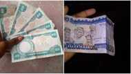 If you spent the old N20 and N50, you should have house, 2 cars, kids: Nigerian man says, stirs reactions