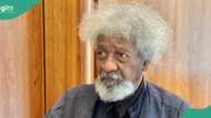 “Get head examined”: Obidients, others can’t stop me from speaking truth, Soyinka blows hot