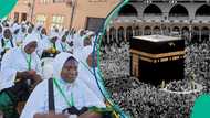 '54 suna asibiti, 4 sun rasu': Halin da mahajjatan Najeriya suke ciki a Saudiyya