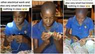 "He knows nothing in school": 8-year-old boy fixes electronics, connects 2 batteries to generate electricity