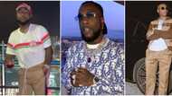 International show promoter Paul Okoye writes open letter to Davido, Burna Boy and Wizkid