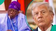 "False": Nigerian man finally breaks silence on Trump’s threat to Tinubu, makes 2 observations