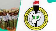 NYSC portal login guide and the simple steps that most first time users always get wrong