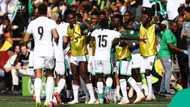 Cameroonian born coach shares tips on how Nigeria can beat SA in 2026 WCQ