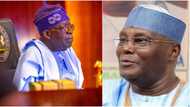 Atiku’s aide tackles Tinubu over veiled threat to Judiciary in Democracy Day speech