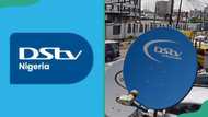 Curious about DStv Compact Plus? Here’s the channel list and how much you’ll pay